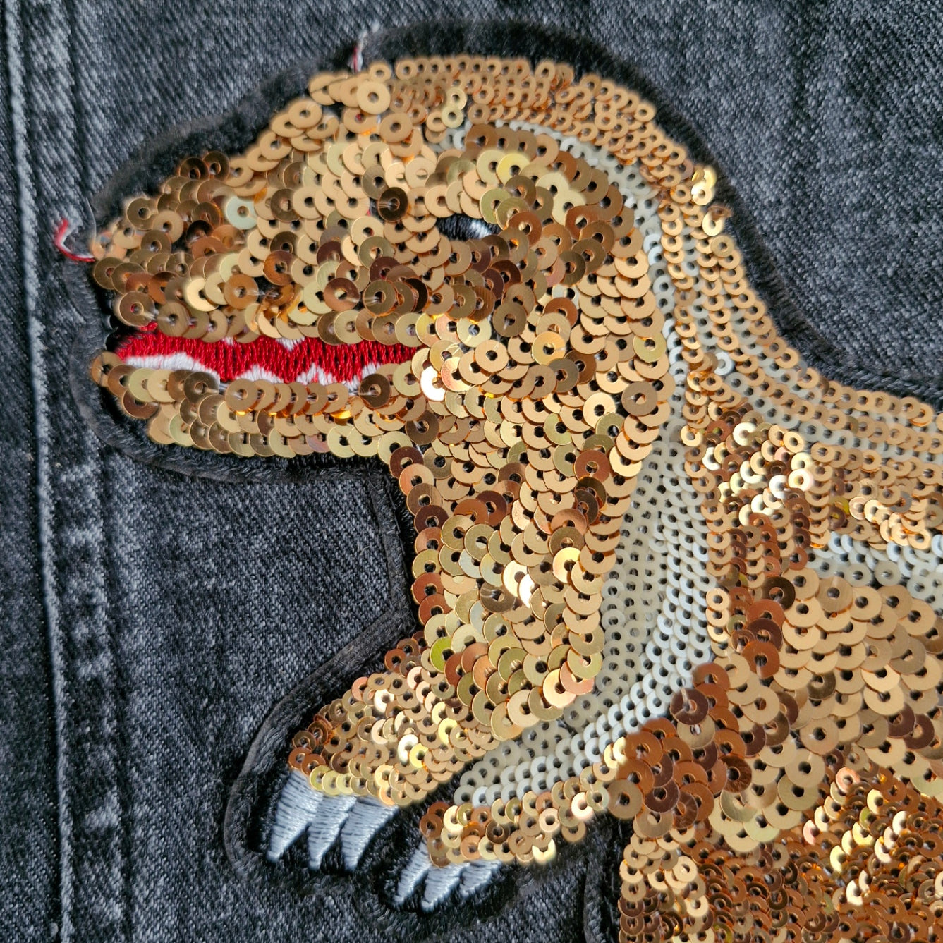 Kid's Sequin Dinosaur - Age 4 years